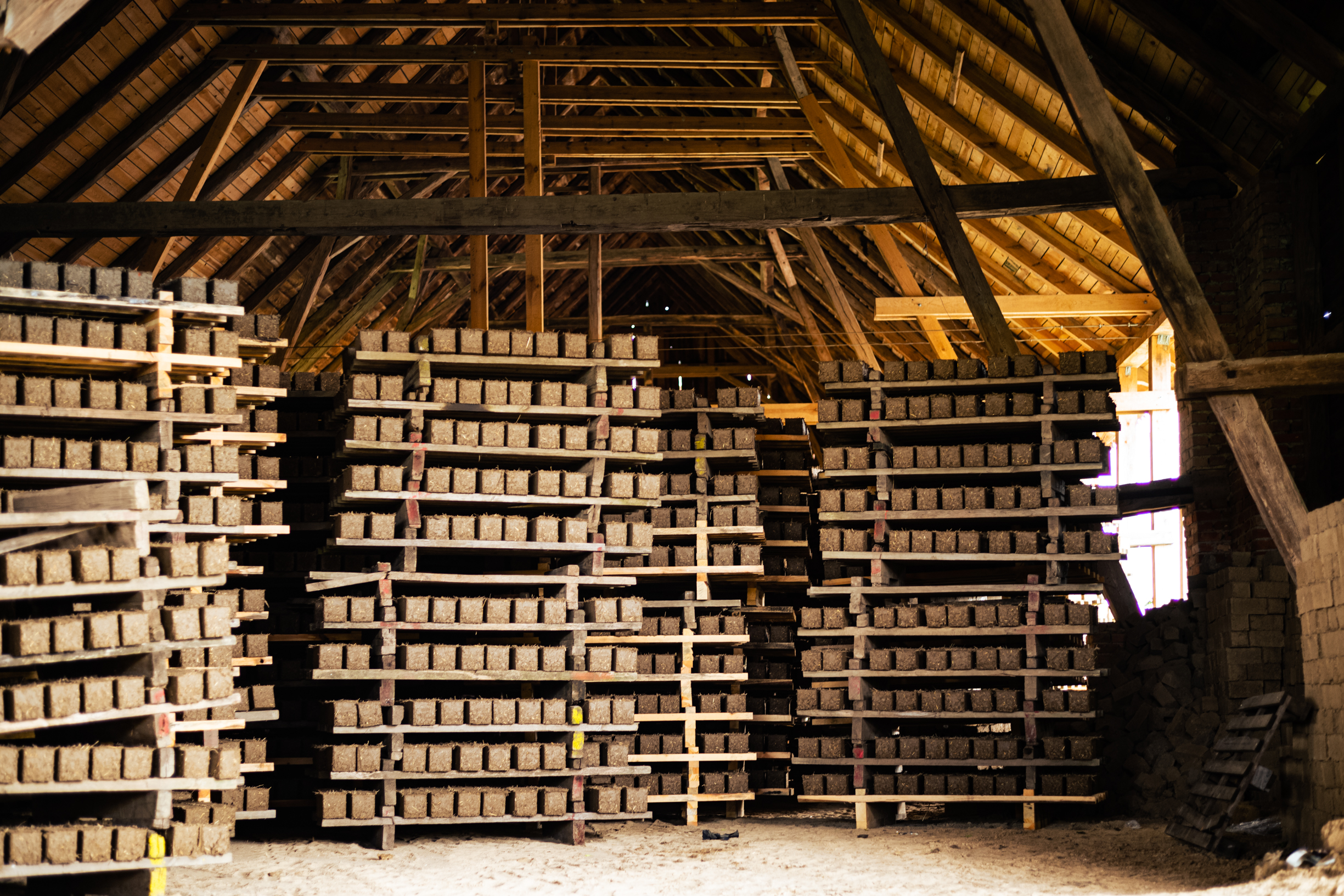 Adobe bricks on pallets